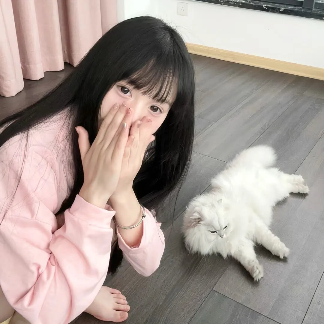晴天小猪